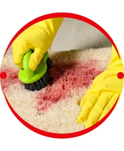Carpet Steam Cleaning
